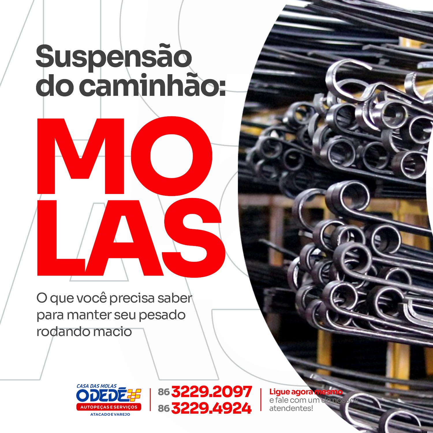 pecasemolasodede_1697076546525
